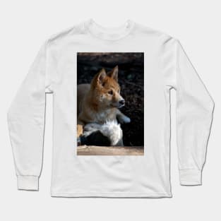 Dingo Pup At Play Long Sleeve T-Shirt